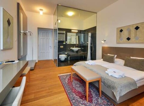 Relaxačný pobyt priamo v centre mesta v historickom hoteli Lev*** s polpenziou a možnosťou využitia wellness.