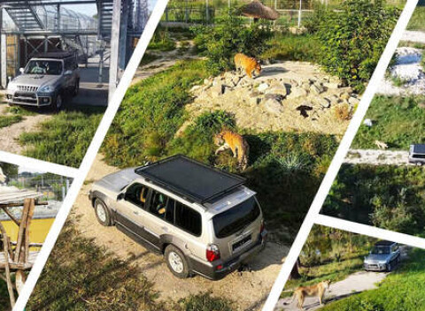 NARODENINOVÁ PONUKA: Jedinečný Safari výlet na Slovensku v Malkia parku.