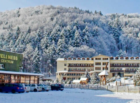 Víkendový pobyt s raňajkami a wellness v hoteli Javorna v srdci prírody Čergova.