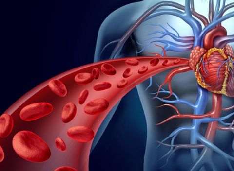 Nakopnite si krvný obeh pomocou Sonotherapie - vyšetrenie a liečba cievneho systému.