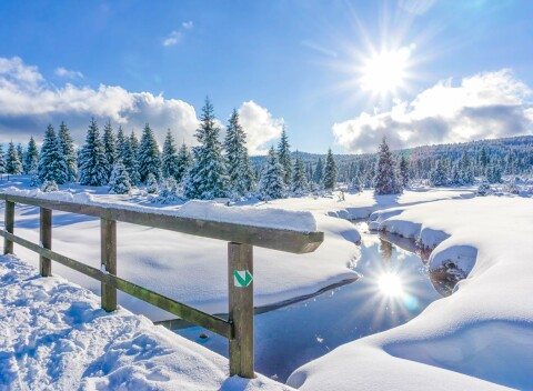 Jizerské hory pri ski areáloch a vodnej nádrži Mšeno: Penzión Stará Školka s raňajkami či polpenziou