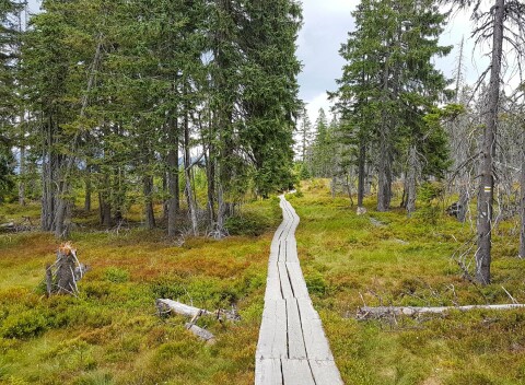 Krkonoše blízko ski areálov a atrakcií: Retro Vila Arnau s raňajkami/polpenziou + víno a zľava