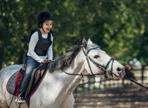 OBĽÚBENÉ: Lekcie jazdenia na koni s inštruktorom pre deti aj dospelých v Bratislave