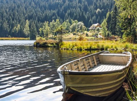 Bavorský les vo Ferienhoteli Waldkönig s polpenziou a wellness + dieťa zdarma.