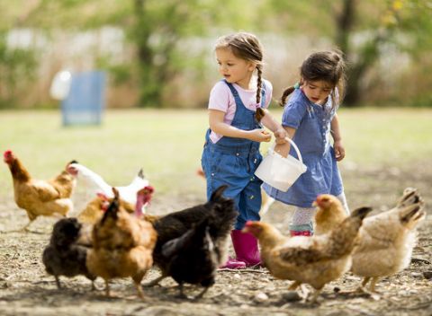 Vstup na farmu plnú zvieratiek – parádny výlet pre celú rodinku na Farmu Červeník.