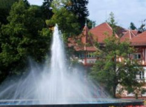 Luhačovice vo Vládnej vile priamo v centre s polpenziou a vstupom do aquacentra.