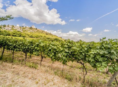 Južná Morava: relax v Hoteli Golf Garni *** s privátnou saunou a procedúrami.