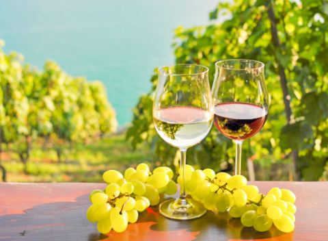 Južná Morava: penzión Šatovské Lípy + neobmedzená konzumácia vína aj degustácia.