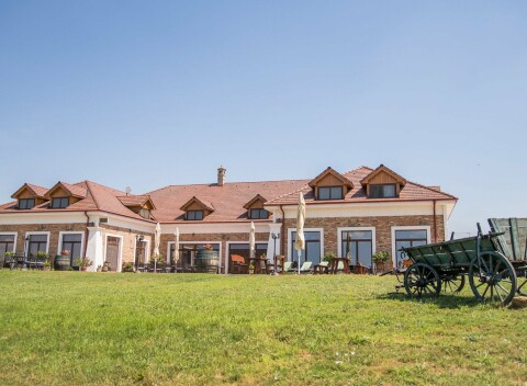 Južné Slovensko: Penzión St. Peter Vini s gurmánskou polpenziou, prehliadkou vínnej pivnice a ochutnávkou vín