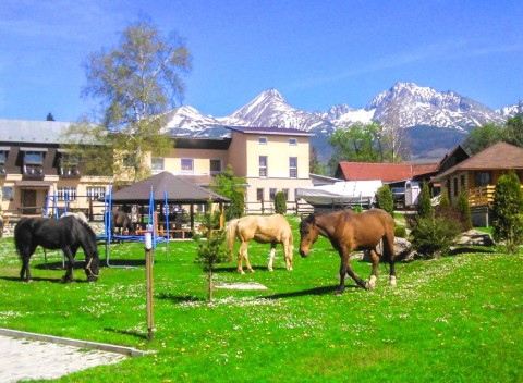 Vysoké Tatry: Penzión Monty Ranch - polpenzia, jazda na koni, požičanie bicykla.