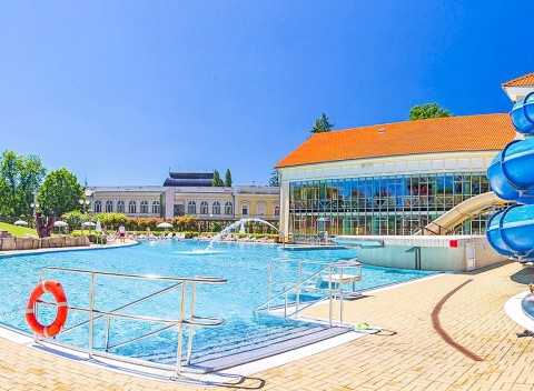 Františkovy Lázně v Penzióne Hortenzie so vstupom do vodného sveta a polpenziou.