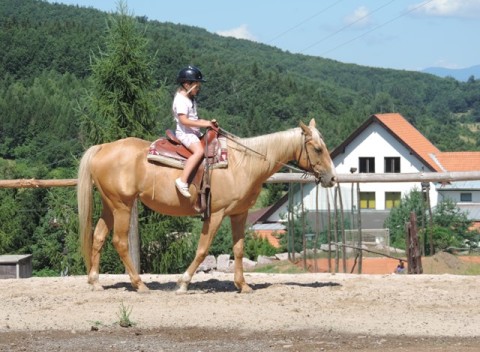 Pobytový 6-dňový detský tábor pri Zvolene. Pestrý program v prírode, angličtinou aj kúpaním v bazéne.