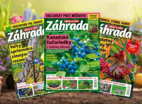 Ročné predplatné inšpiratívneho časopisu Záhrada - Poštovné v rámci SR je v cene