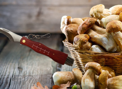 Hubársky nôž s praktickou kefkou na čistenie húb. Skvelý darček pre každého hubára.