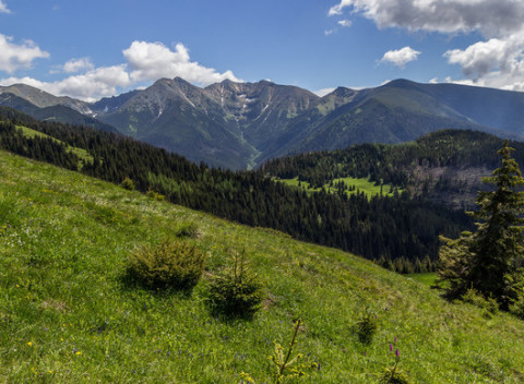 Ubytovanie na Orave v komfortných apartmánoch pre 5 osôb s bazénom v malebnom lesnom prostredí.