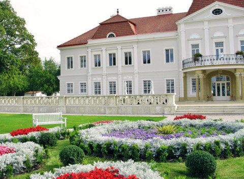 Rozprávkové leto v Art Hoteli Kaštieľ s neobmedzeným kúpaním vo vonkajšom bazéne.