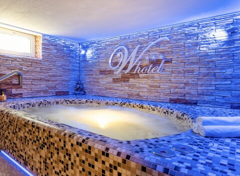 Bratislava pri Devínskom hrade: W Hotel *** s raňajkami + privátny vstup do wellness (bazén, sauna, vírivka)