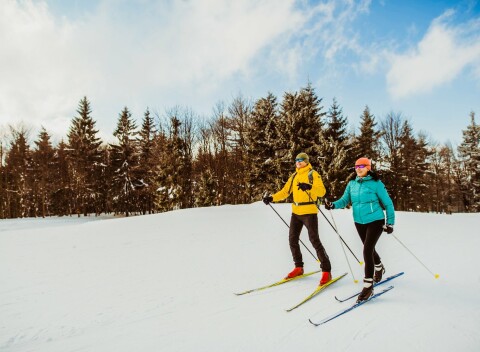 Náchod len 3 km od zámku s Piccolominskou záhradou v Penzióne Amerika s polpenziou + bazén