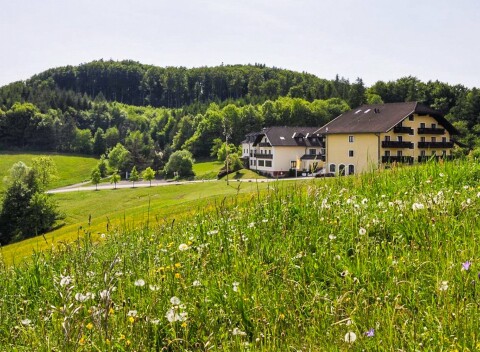 Rakúsko neďaleko Viedne v Hoteli Wienerwaldhof **** s polpenziou a wellness centrom (vnútorný bazén, 2 sauny)