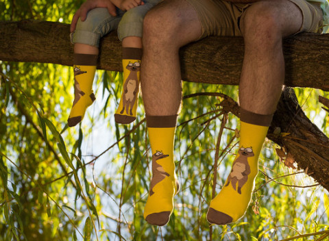 Zábavné bavlnené ponožky Crazy STEP – ideálny darček pre každého, malého i veľkého.