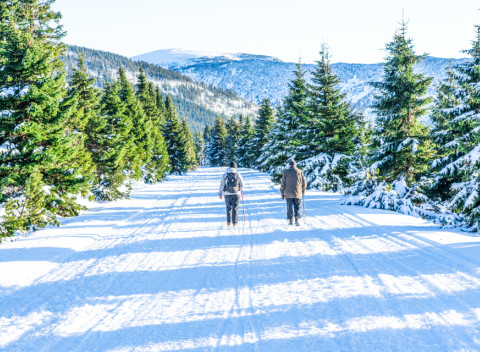 Krkonoše v rodinnom Penzióne Holiday s raňajkami len 5 minút od skiareálu.
