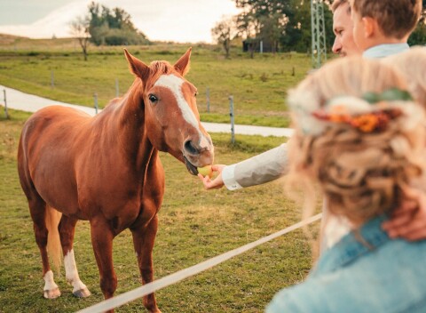 Hrubý Jeseník v Penzióne Nad stájí s raňajkami alebo polpenziou, bazénom a fínskou saunou + elektrobicykle