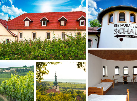 Južná Morava: Oddychový pobyt v Hoteli Schaller pri Znojme s poukazmi do nákupného centra Freeport.