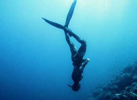 Kurzy nádychového potápania freediving v bazéne alebo na otvorenej vode