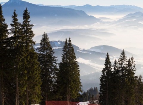 Komfortne zariadený a plne vybavený apartmán v obci Párnica - len 9 km od SKI PARK Kubínska hoľa.