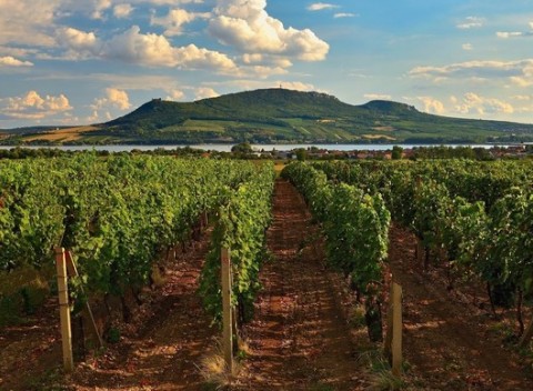 Penzión Mlýn s polpenziou, 2 fľ. archívneho vína a možnosťou konzumácie vína aj burčiaku s rautom.