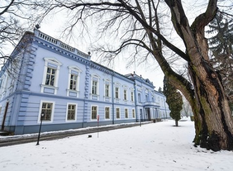 Relax v krásnom prostredí Kaštieľa Mojmírovce**** s wellness a vstupom do ThermalParku Nitrava.