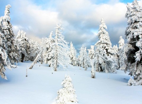 Jeseníky 300 m od ski areálu v Hoteli Imperial **** s aquacentrom a polpenziou.