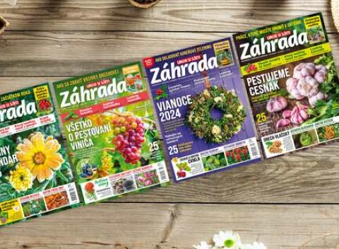 Ročné predplatné inšpiratívneho časopisu Záhrada - Praktický poradca pre každého záhradkára