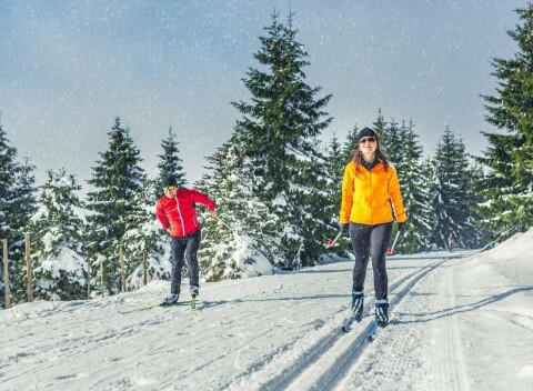 CHKO Šumava pri Lipne a 8 km od ski areálu: Pension Vyhlídka s raňajkami alebo polpenziou, saunou a bowlingom