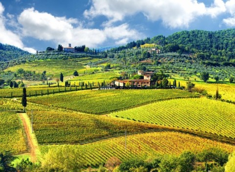 Dovolenka pod toskánskym slnkom v hoteli Petit Château*** s fľašou vína ako darček.