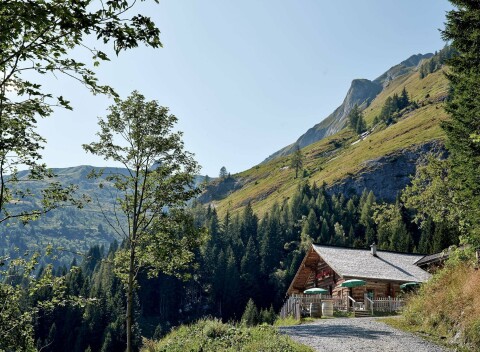Alpská pohoda v horskej chate Mooslehenalm by Grossarler Hof (1 449 m n. m.) s raňajkami a welcome drinkom