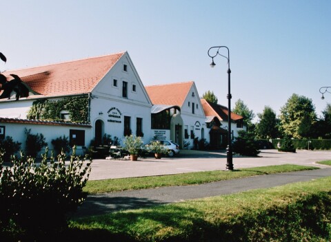 Hegykő: Hotel Tornácos ***+ len 150 m od kúpeľov s polpenziou či plnou penziou, wellness, termálmi + procedúra