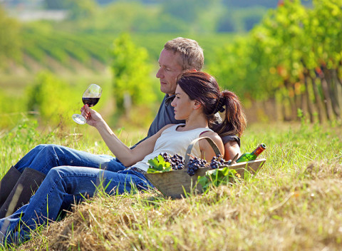 Južná Morava v hoteli s polpenziou + jeden večer neobmedzená degustácia vína.