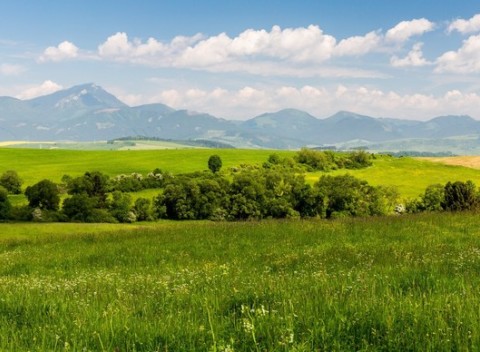 Dovolenka v obľúbenom penzióne Larion, ktorý je pri vstupnej bráne do severnej časti Nízkych Tatier.