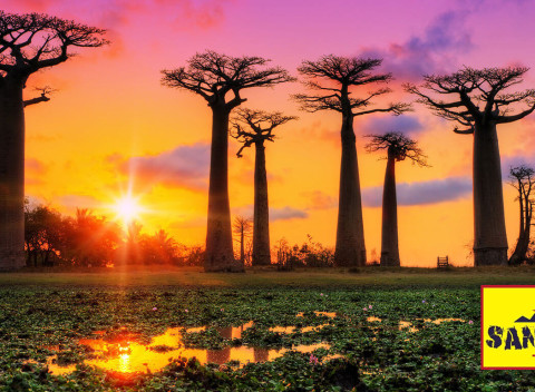 Skvelá zľava na 17-dňový zájazd na Madagaskar: splnený cestovateľský sen.