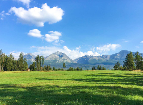 Vysoké Tatry: Vila Horec *** s polpenziou a neobmedzeným wellness + dieťa zdarma.