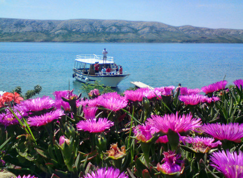 Dovolenka v Chorvátsku na ostrove Pag v prímorskom mestečku Metajna s polpenziou.