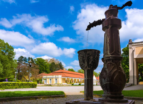Piešťany pre dve osoby so súkromným wellness a raňajkami v hoteli Anne Mary.