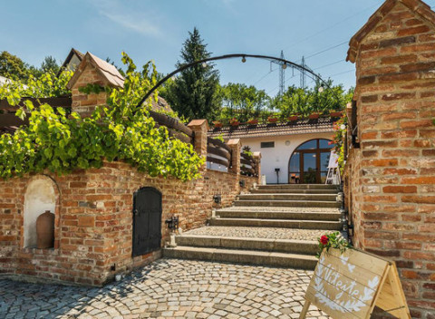 Vinársky raj na južnej Morave s ubytovaním, polpenziou, fľašou vína a možnosťou degustácie.