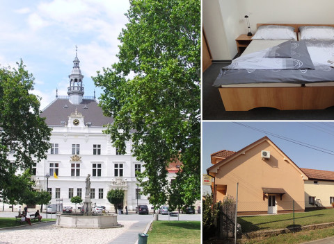 Južné Čechy - Valtice: Vinársky pobyt v Penzióne Irena so špeciálnym programom.