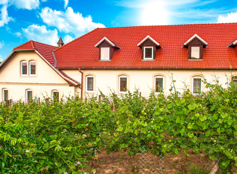 Znojmo v Hoteli Schaller s polpenziou, prehliadkou kláštora a ochutnávkou vína.