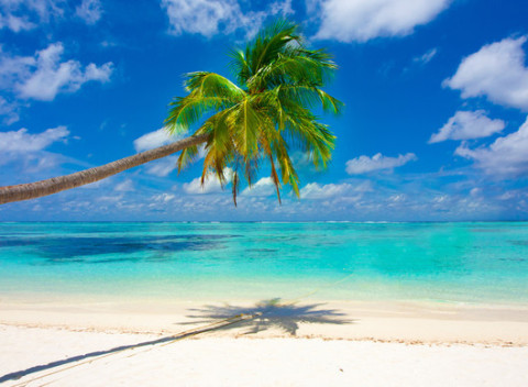 Exotické Maldivy s Fulmaya Travel - 7 nocí na ostrove v izbe Deluxe pre 1 osobu.