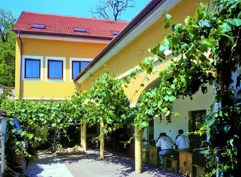 Južná Morava v hoteli s degustáciou vína a prehliadkou pivovaru + predplatený kredit na konzumáciu.