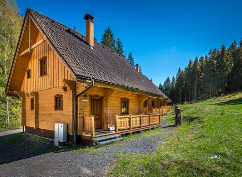 Štýlové drevené zruby HOREC v krásnom a tichom horskom prostredí Liptova pre 10 ľudí.