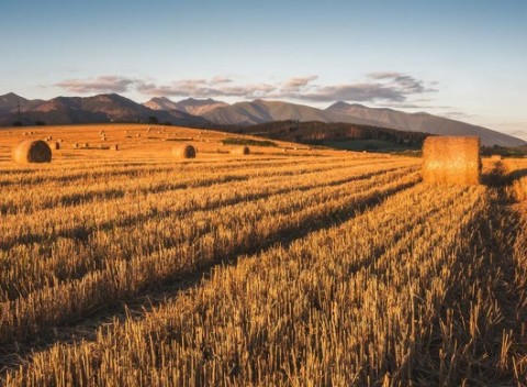 Pobyt s polpenziou a wellness v útulnom penzióne Dolinka pod Kráľovou hoľou.
